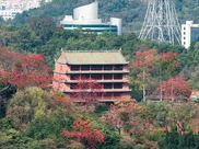 眺望白云山顶